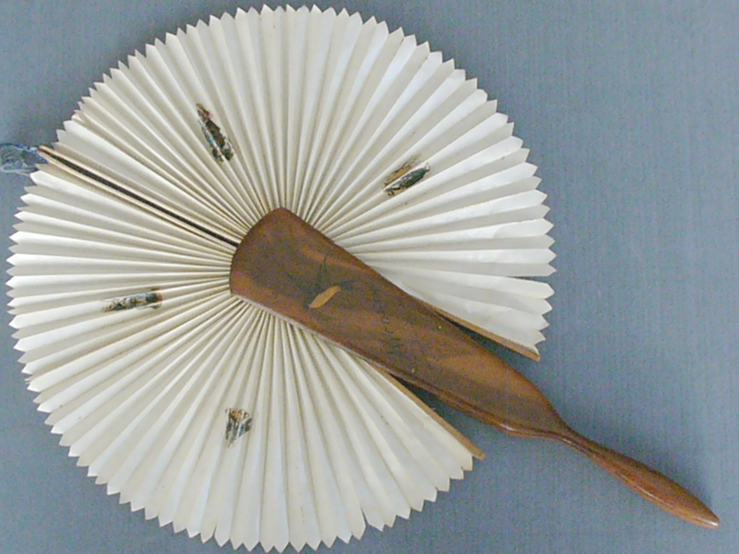 oggetistica collezionismo oggettivamentebello oggetivamente bello antiquariato oggetto showroom show room hobby oggetti accendini ambra argenti arredamento arte cinese avorio backelite banconote cartoline catene orologi ceramiche fotografie francobolli gioccattoli gioielli libri miniature modellismo mordenariato monete argento nautica occhiali penne porcellana profumo quadri scatole antiche sculture smalti stampe sveglie tarsia tartaruga ventagli vetri